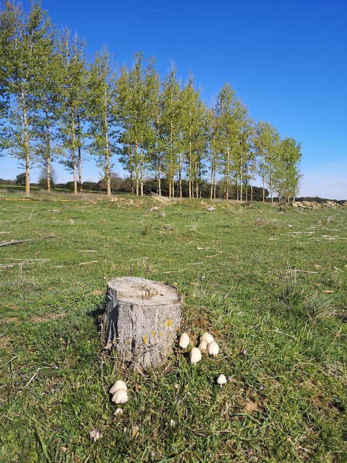 L' Abilleiru Albergue Rural Santibanez de Valdeiglesias Dış mekan fotoğraf